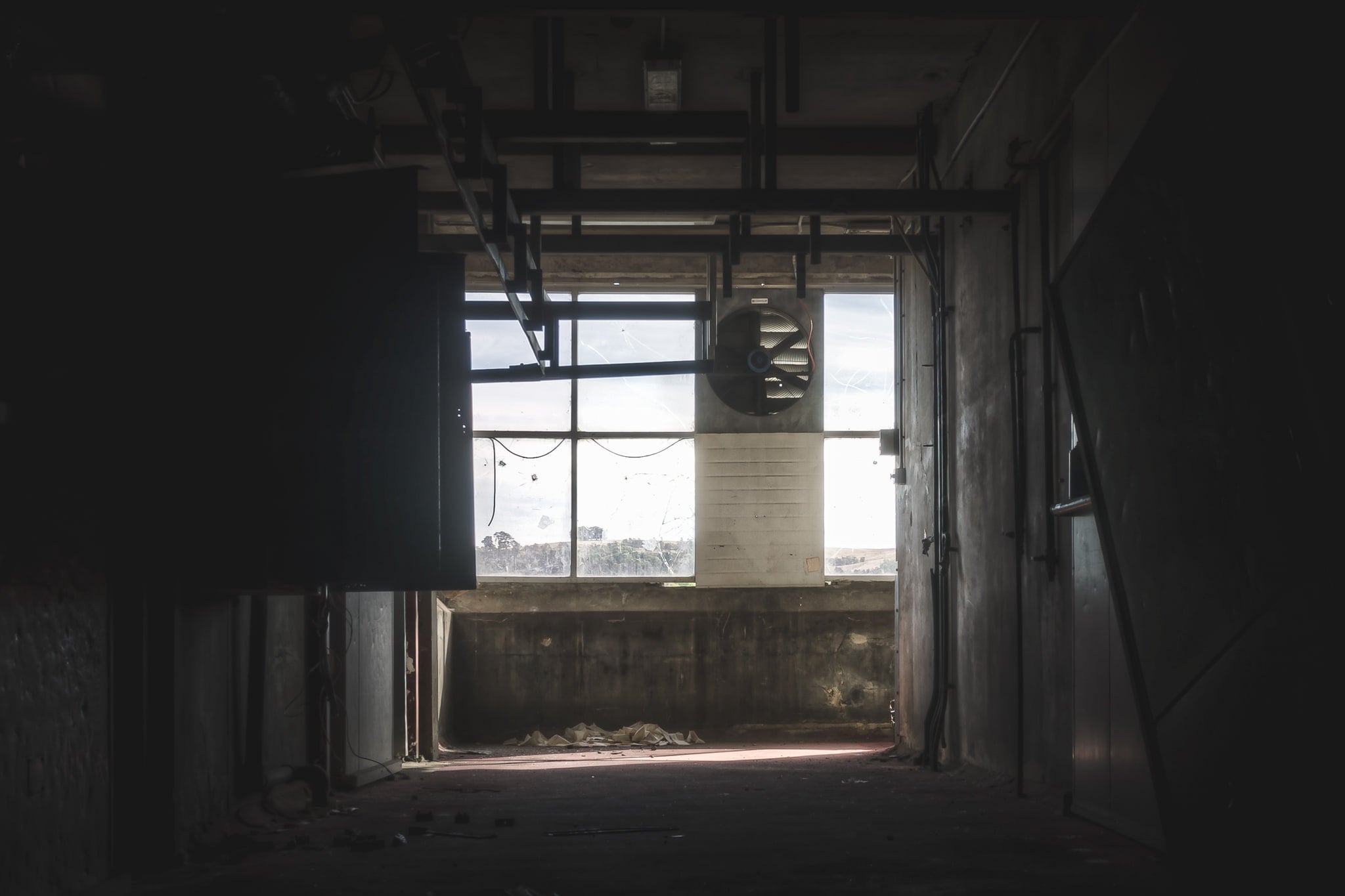 Country View at Blayney Abattoir, long shadows stretch across the cool room hall, where broken windows reveal glimpses.