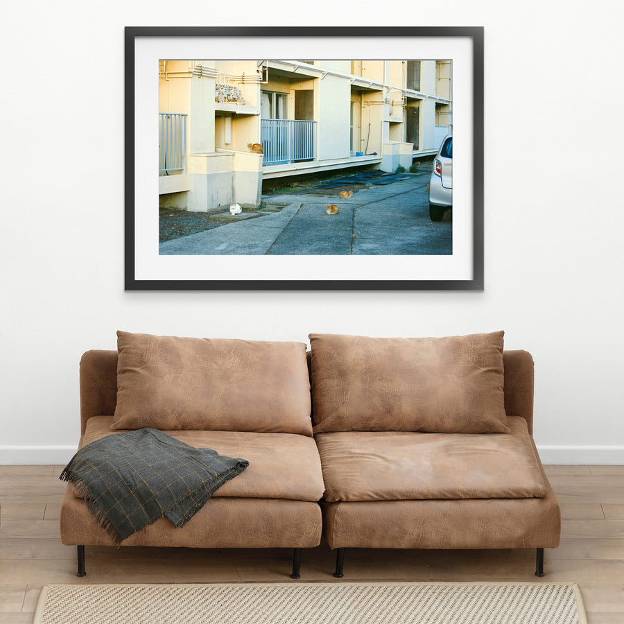 Seven cats rest on a concrete path outside a cream-rendered apartment block at Ikeshima, with blue metal railings and exposed pipework across the facade.