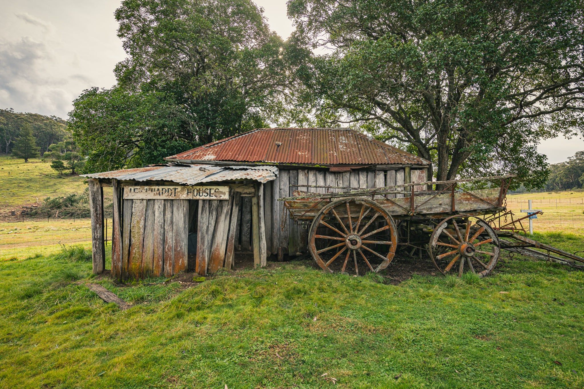 An overgrown backyard at a slab timber cottage in the Southern Tablelands. Rusting metal sits among encroaching grass and vegetation. The scene is still. No figures are present.