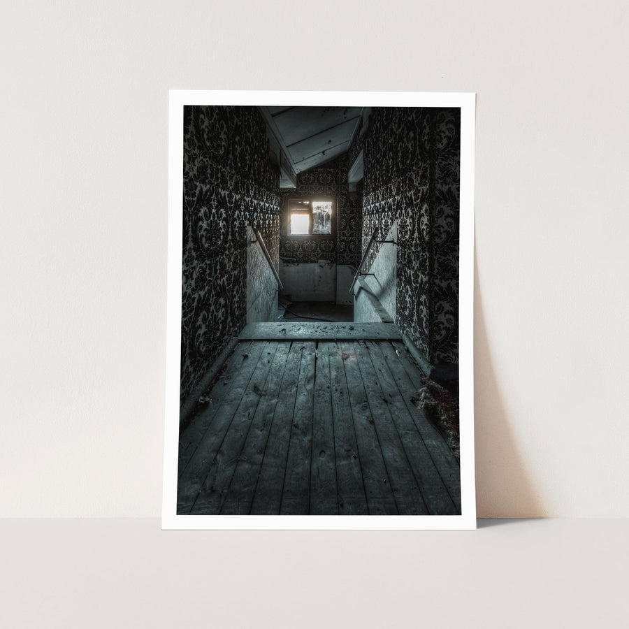 Timber Corridor