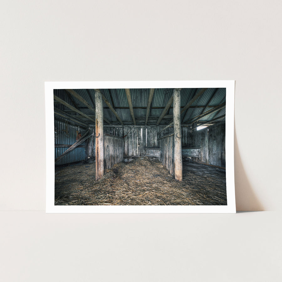 Timber shed interior at Braidwood, two trunk posts rising from a straw-covered floor.