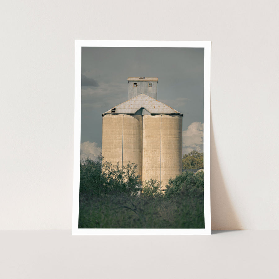 Weathered concrete grain silo cells rising behind a row of trees and low scrub at Mount Russell, with a corrugated metal roof and tall headhouse visible above the canopy.