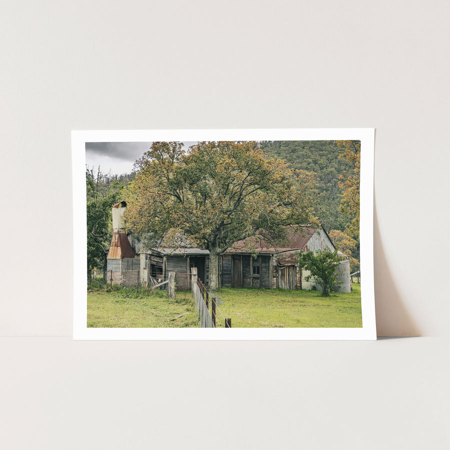 A weathered timber and corrugated iron farmhouse at Woolla, seen behind a large tree in autumn colour, with rusting roof sheets, a tall metal chimney flue, and galvanised tanks, forested hills in the background.