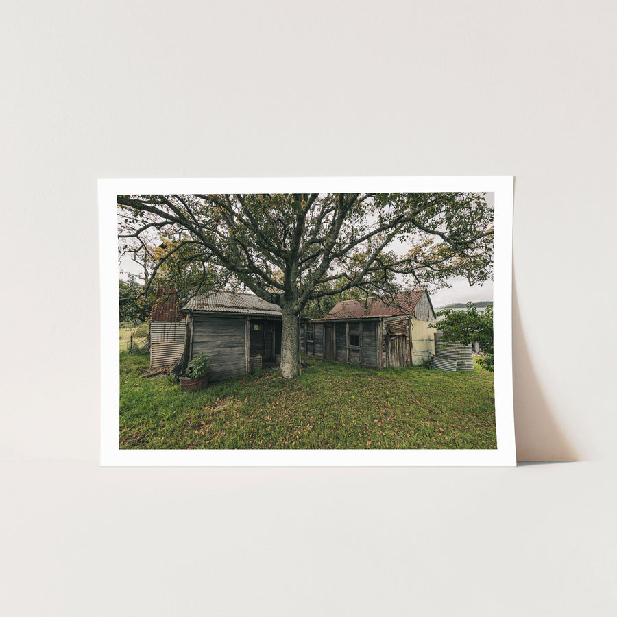 Two weathered timber sheds with corrugated iron roofs beneath a bare-limbed tree at Woolla, Deua River Valley, with a windowed lean-to and two corrugated water tanks to the right.