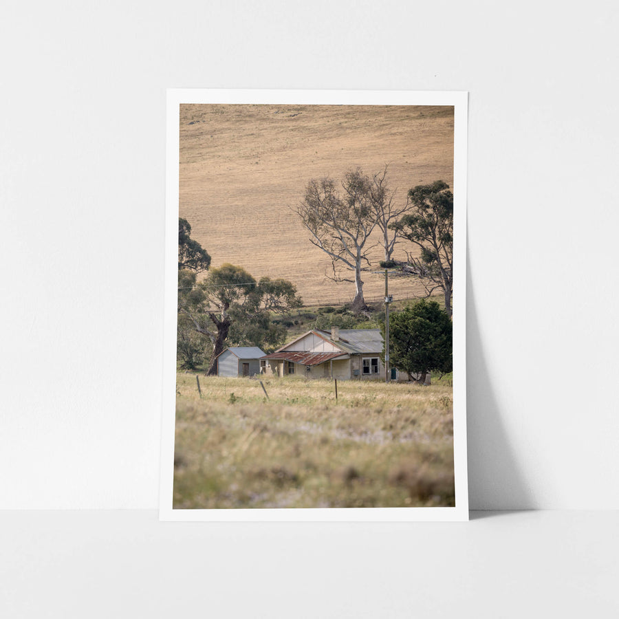 Dalgety Valley at A Place to Call Home, a more modern-looking farm ruin set amongst the rural Dalgety landscape.