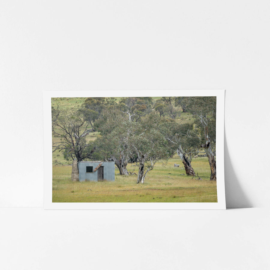 Home Amongst The Gums at A Place to Call Home, a small corrugated iron hut sits low in open grassland, backed by a scatter.