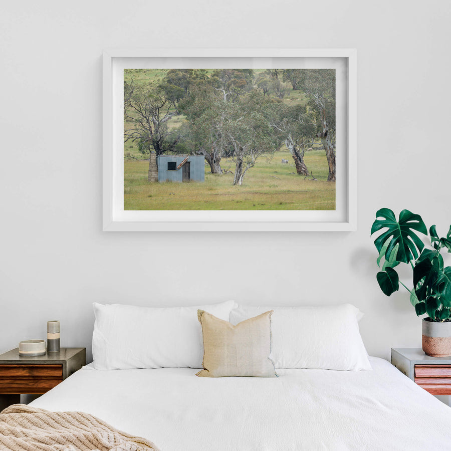 Home Amongst The Gums at A Place to Call Home, a small corrugated iron hut sits low in open grassland, backed by a scatter.