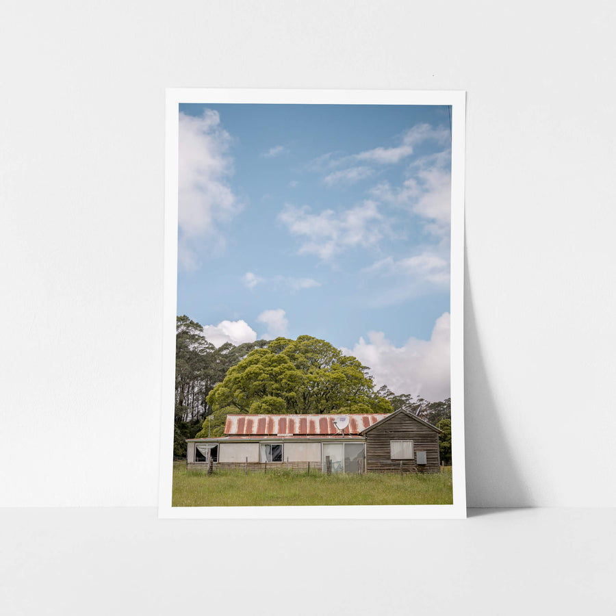 Myrtle Mountain Shack at A Place to Call Home, a weatherboard shack and a smaller timber outbuilding sit low in thick green.