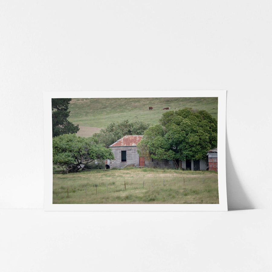 Old Timber Home at A Place to Call Home, a weatherboard cottage sits low in the grass, half-swallowed by mature fruit trees.