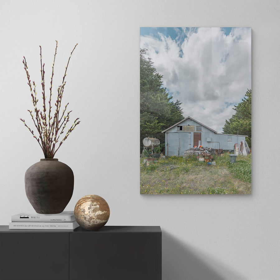 Talbots Place at A Place to Call Home, a pale blue corrugated iron shed sits in overgrown grass thick with yellow.