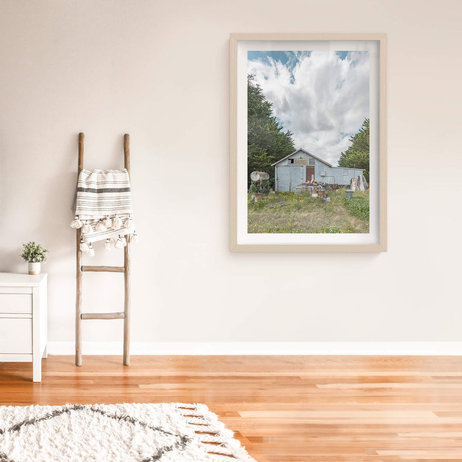 Talbots Place at A Place to Call Home, a pale blue corrugated iron shed sits in overgrown grass thick with yellow.