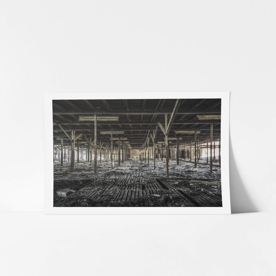 Bottom Holding Area at Blayney Abattoir, a grid of steel uprights stretches into the distance, framing the remains.
