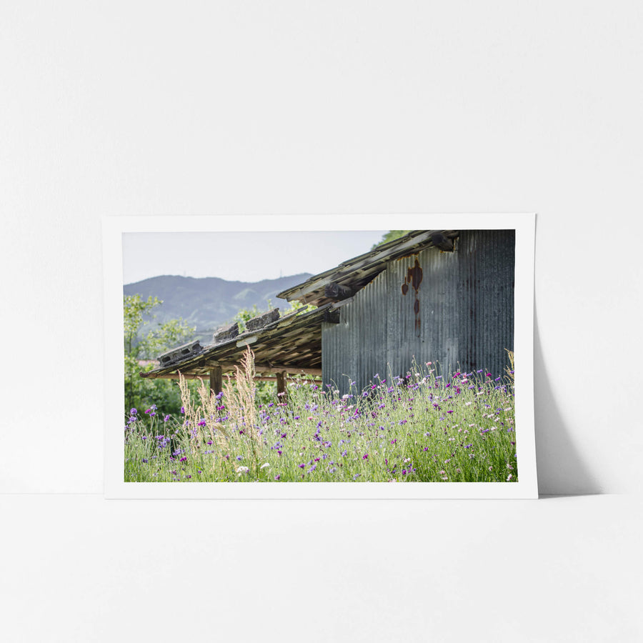 Annaka Farm Shed at Landscapes, flowers and long grass on a Japanese farm.