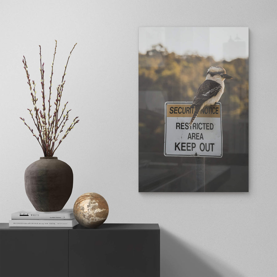 Kookaburra at Landscapes, a laughing kookaburra perches on top of a Security Notice Restricted Area Keep Out sign.