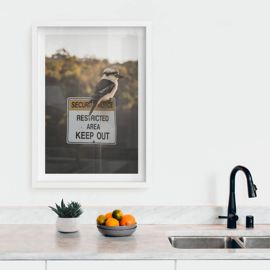 Kookaburra at Landscapes, a laughing kookaburra perches on top of a Security Notice Restricted Area Keep Out sign.
