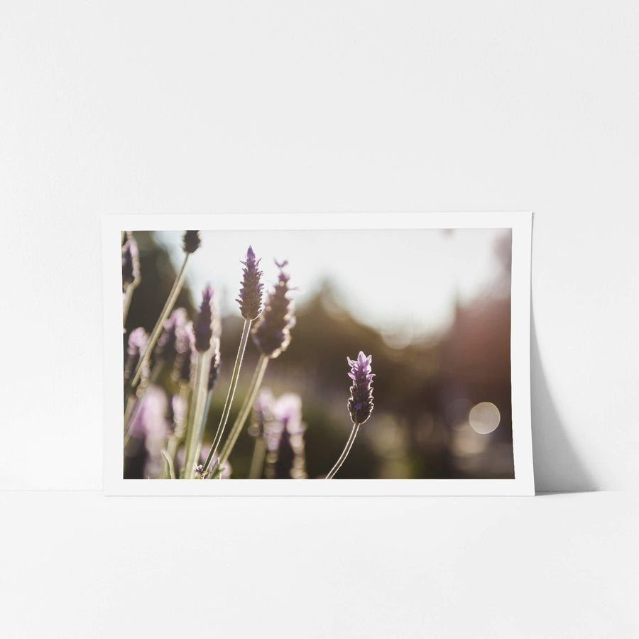 unframed