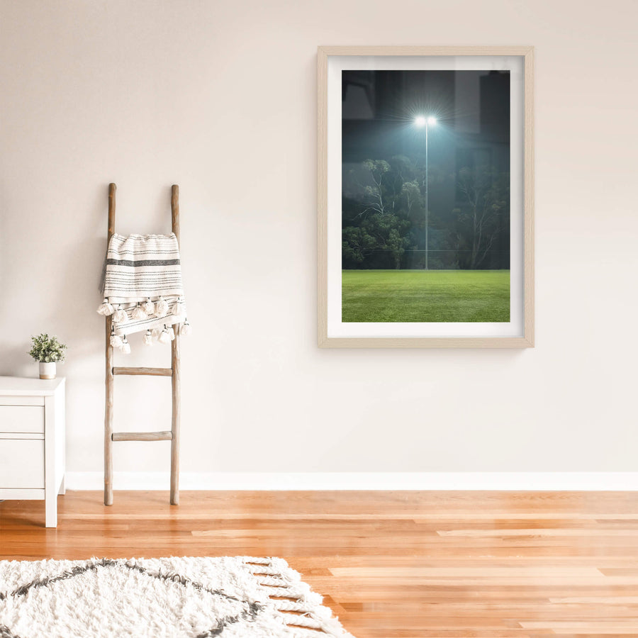 Nightlight at Landscapes, a single floodlight illuminates the night, standing tall against the backdrop of silhouetted trees.