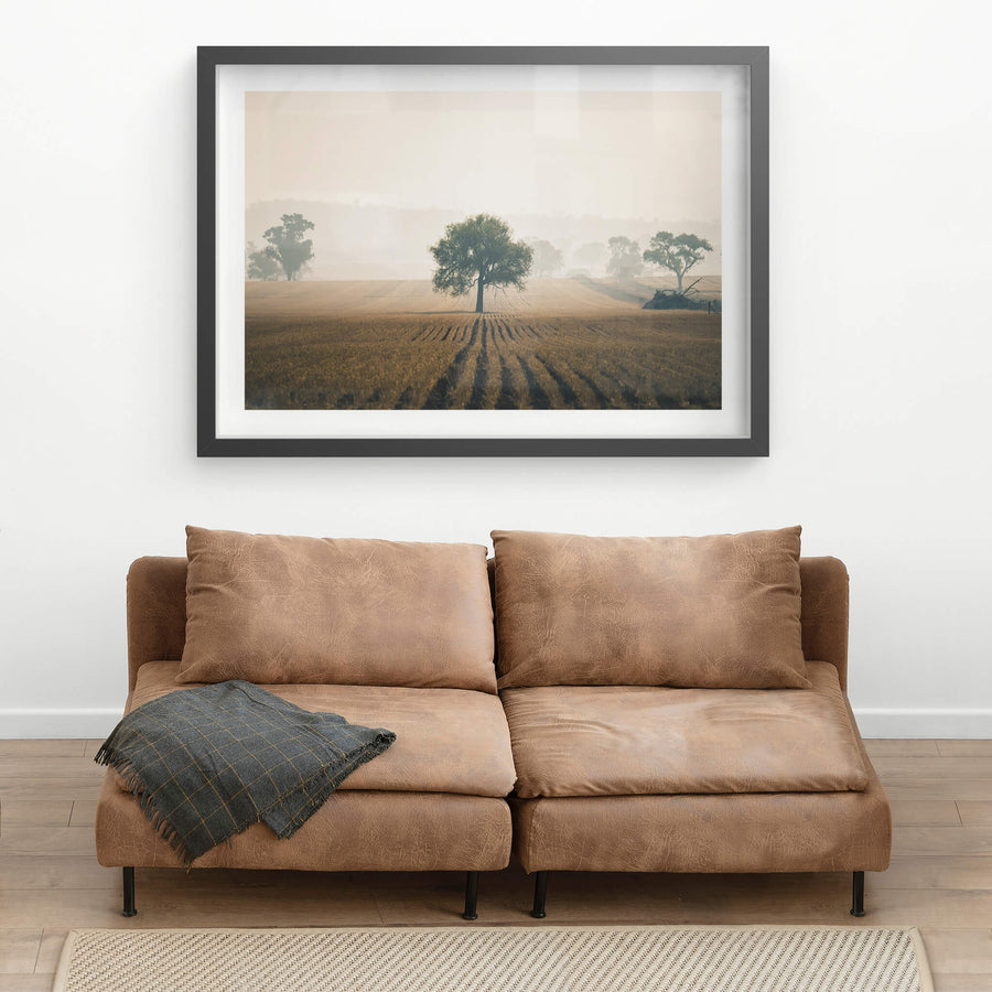 Solitude at Landscapes, stubble rows run in straight lines across a harvested grain field, dark furrows cutting through dry.