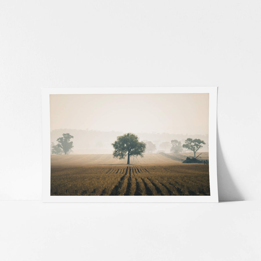 Solitude at Landscapes, stubble rows run in straight lines across a harvested grain field, dark furrows cutting through dry.