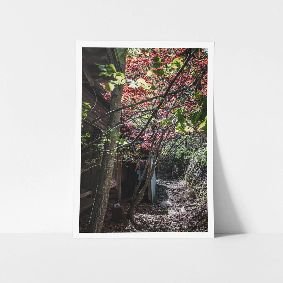 Living Quarters Walkway at Nichitsu Mining Village, a Japanese maple burns red above a narrow passage between timber.