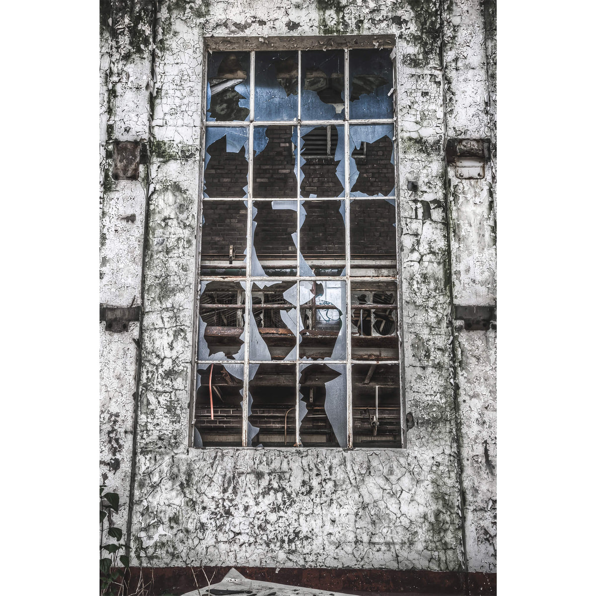 Powder Room Window | Peters&#39; Ice Cream Factory Fine Art Print - Lost Collective Shop