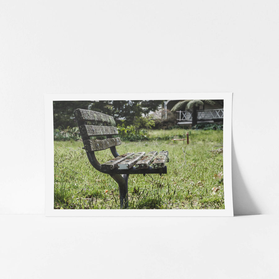 Bench Seat at Queen Victoria Sanitorium, a cast iron and timber park bench sits in uncut grass, its slats thick with lichen.