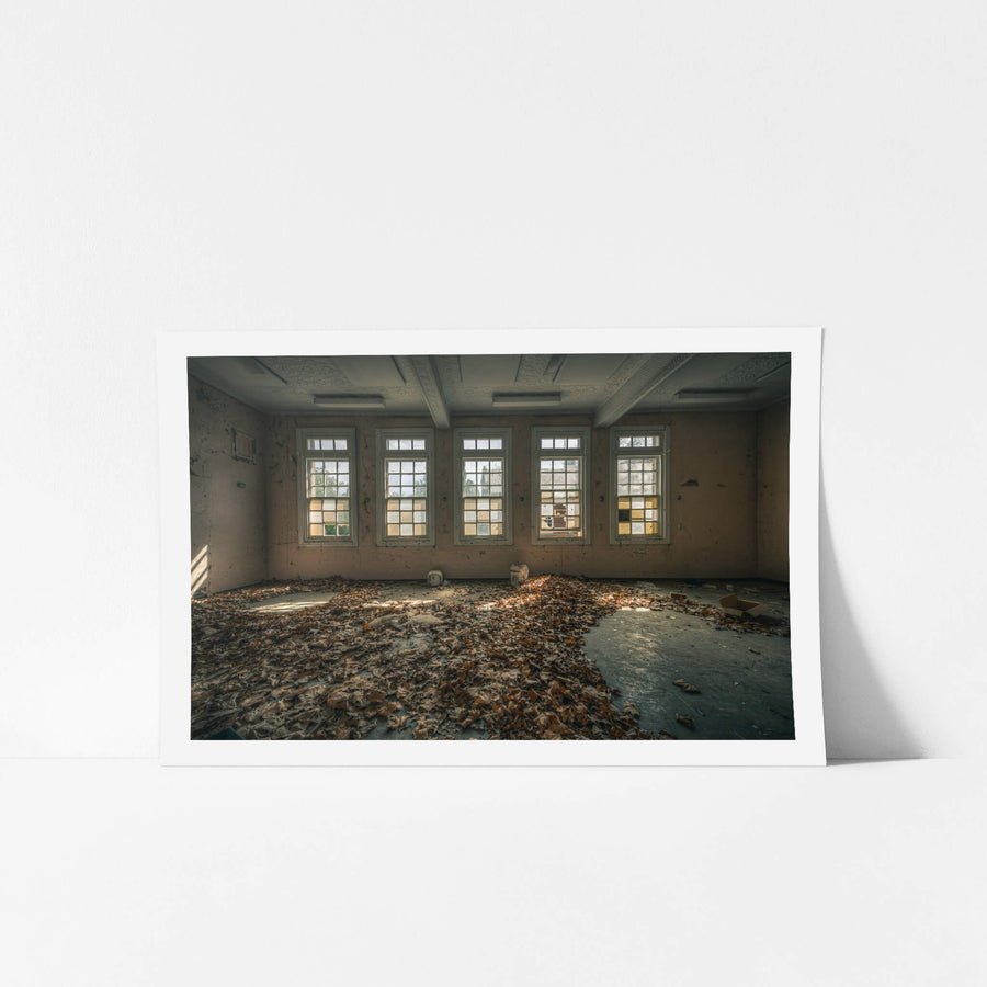 Leafy Outlook at The Asylum, dead leaves blanket the floor in thick, dry drifts.