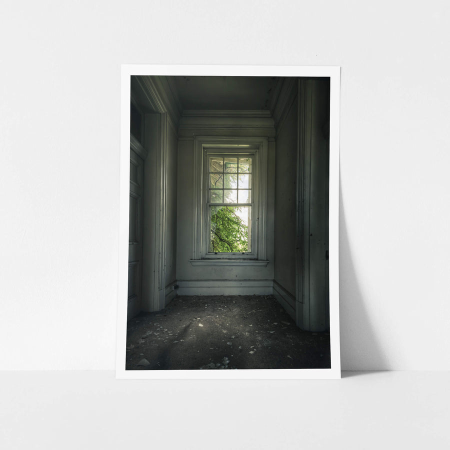 Top Floor Garden at The Asylum, a tall sash window sits recessed in an alcove on the upper floor.