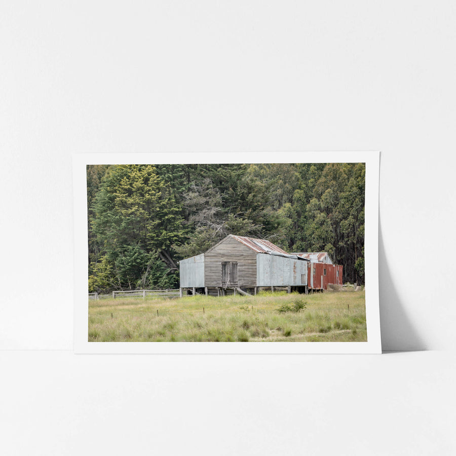 Delegate River at The Woolshed, a timber woolshed set before a lush forest background.
