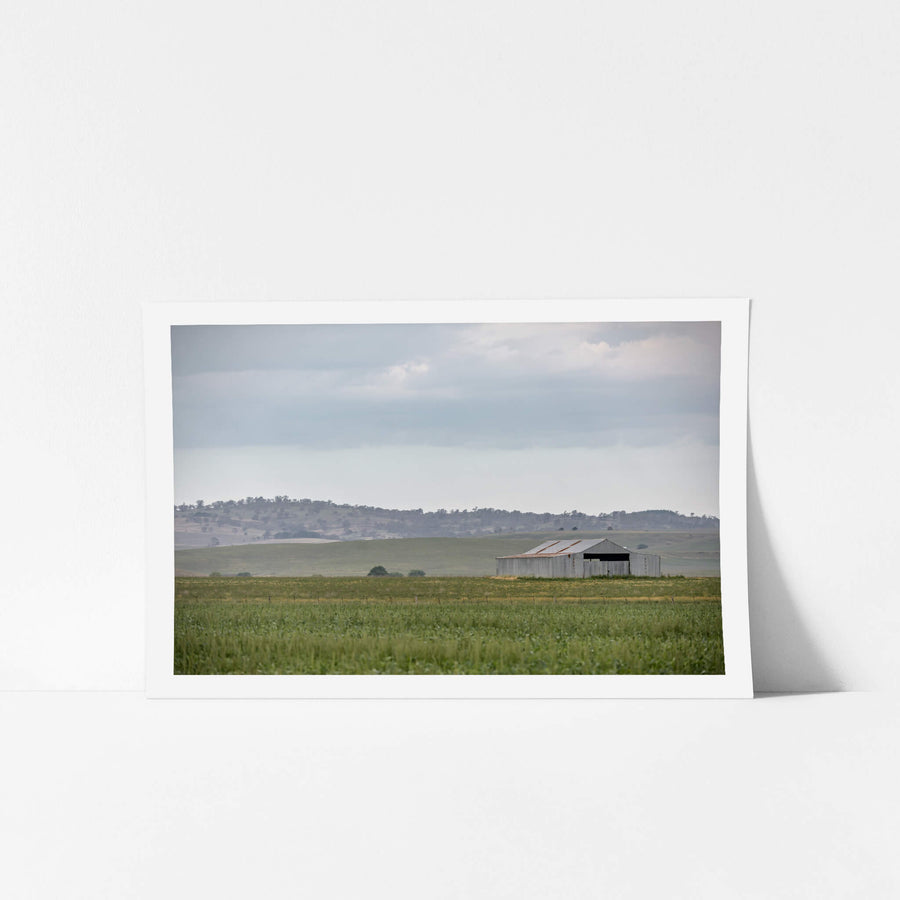 Shed In The Field at The Woolshed, a corrugated iron shed sits alone in open pastoral country.