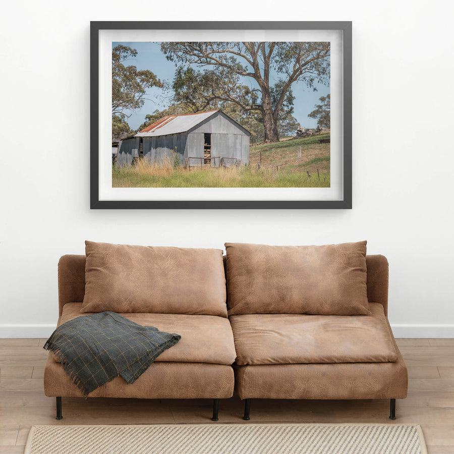Simple Shed at The Woolshed, corrugated iron walls sit grey and weathered against a gentle slope of dry grass.