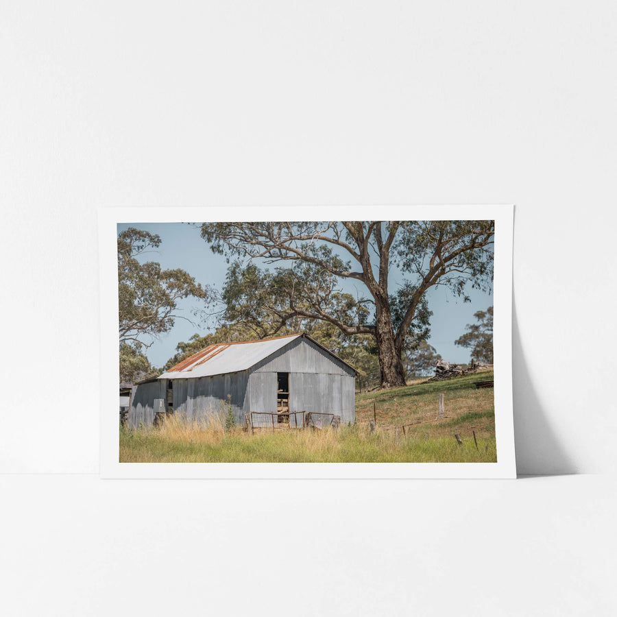Simple Shed at The Woolshed, corrugated iron walls sit grey and weathered against a gentle slope of dry grass.