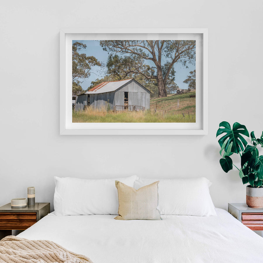 Simple Shed at The Woolshed, corrugated iron walls sit grey and weathered against a gentle slope of dry grass.