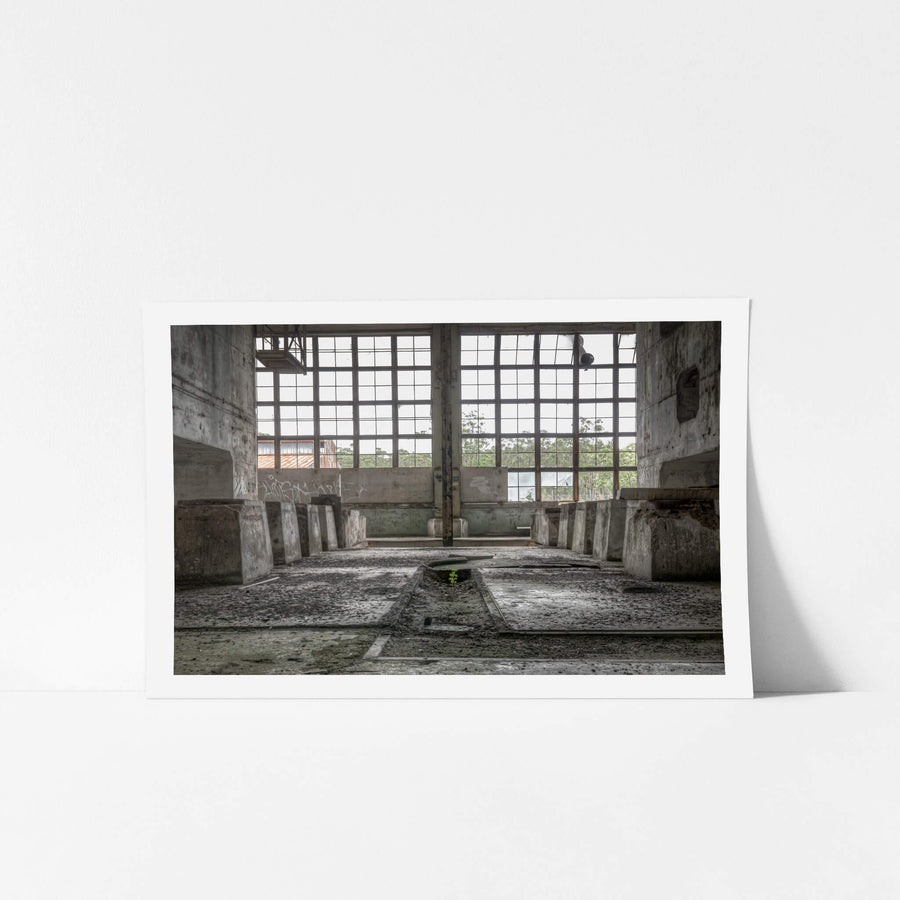 Nature Always Finds a Way at Wangi Power Station, concrete turbine plinths stand in two rows inside the main hall at Wangi.