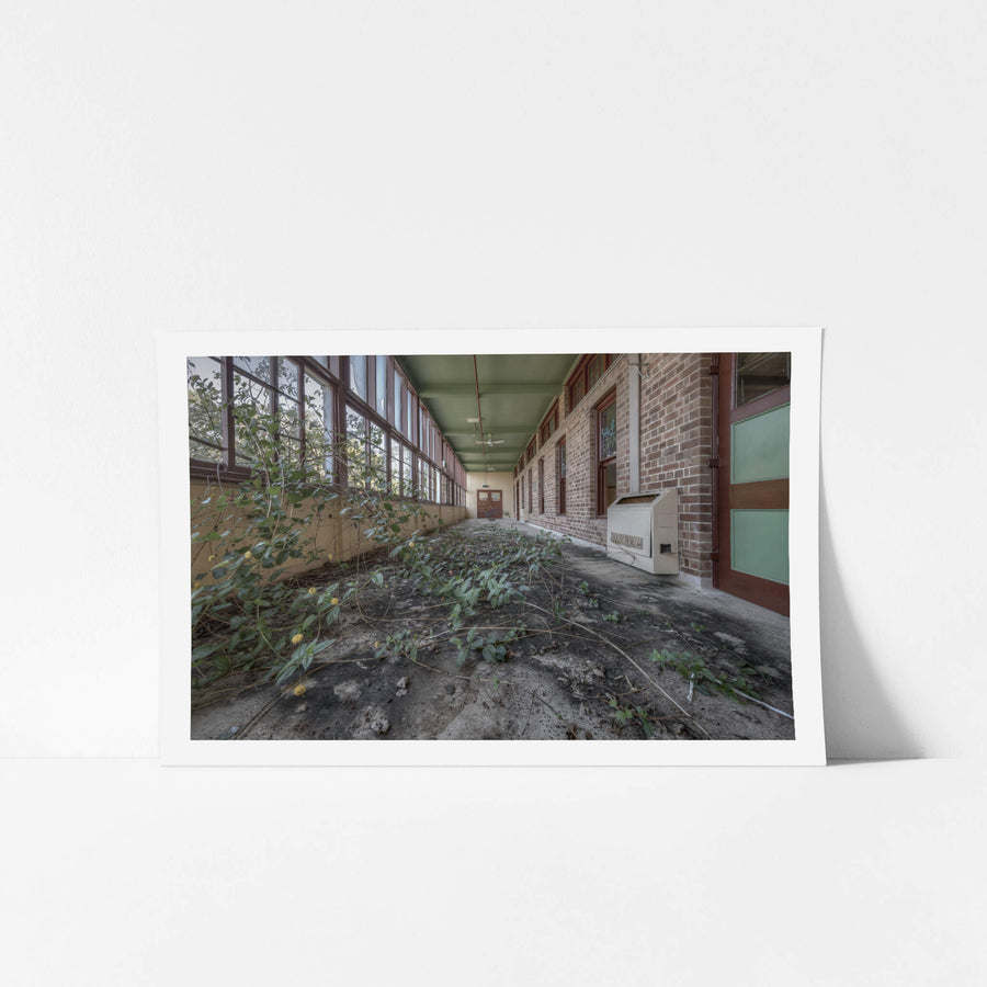 Encroach at Waterfall Sanatorium, vegetation slowly making its way from the outside to the interior of the building.