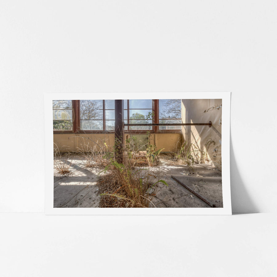 Overgrown at Waterfall Sanatorium, ferns and dried grass push through cracks in the concrete floor.