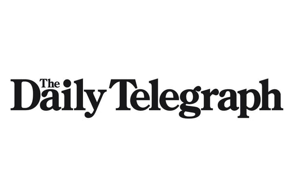 Daily Telegraph feature coverage of the Macquarie Boys Technology High gallery from Lost Collective