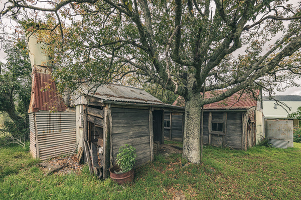 Two slab huts under a single large tree at Woolla, on the Deua River near Braidwood.