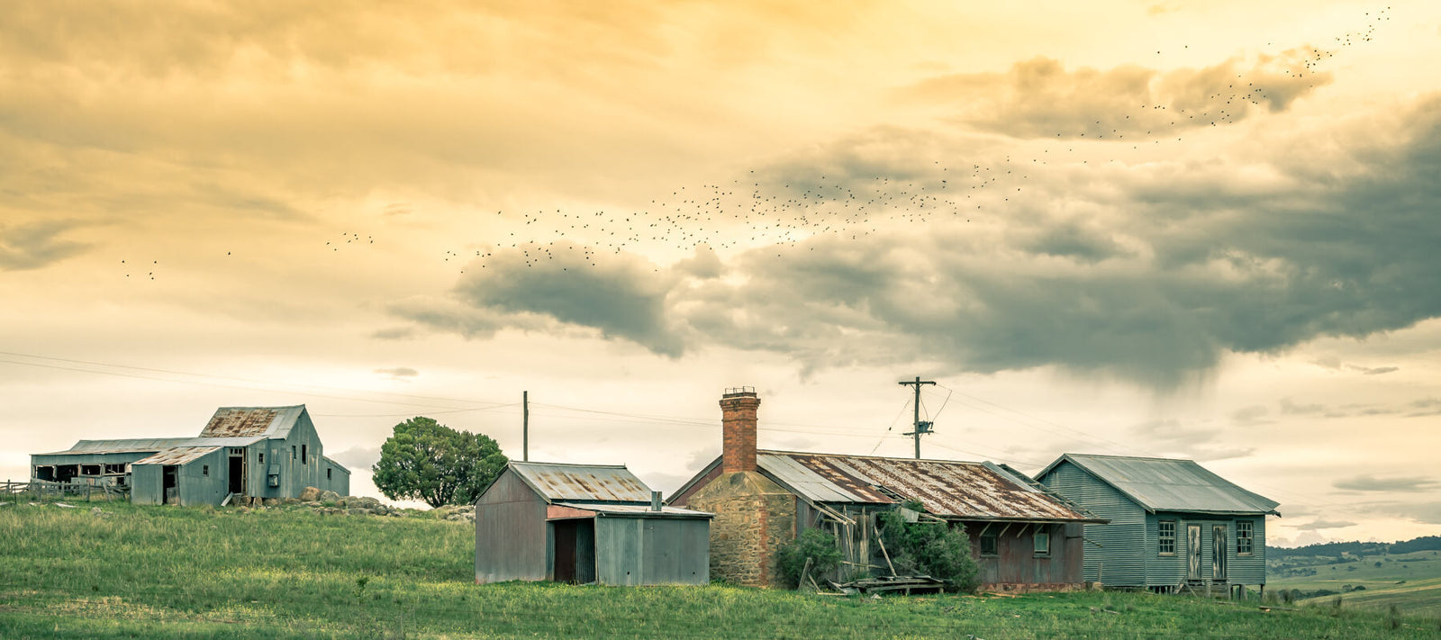 A rustic Australian rural landscape featuring weathered farm buildings, including a barn, shed, and house, set against a dramatic golden sky with birds in flight.
