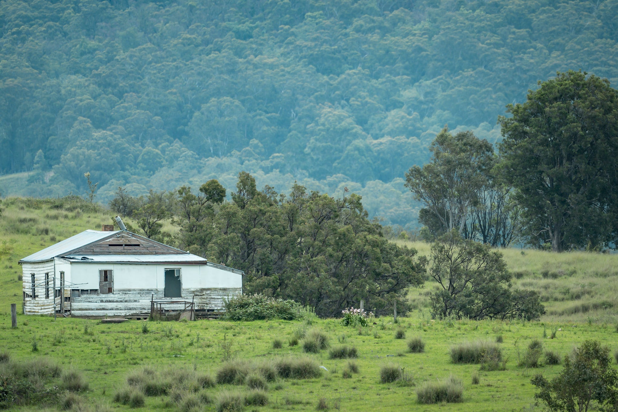 Bemboka Blues at A Place to Call Home, this tired, weatherboard home cuts a lonely figure amongst a vast landscape before.