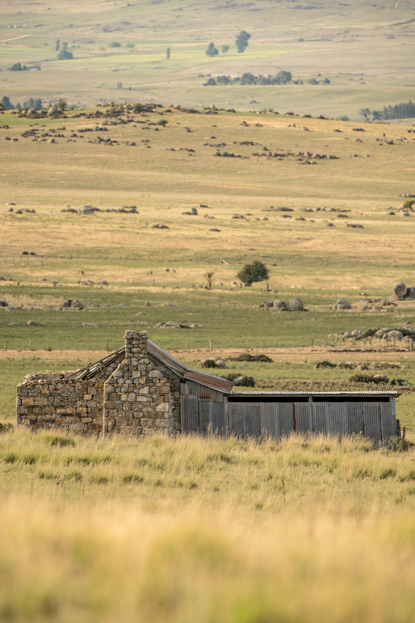 Dalgety Down The Range at A Place to Call Home, a small stone hut sitting alone on a grassy plain which extends well.