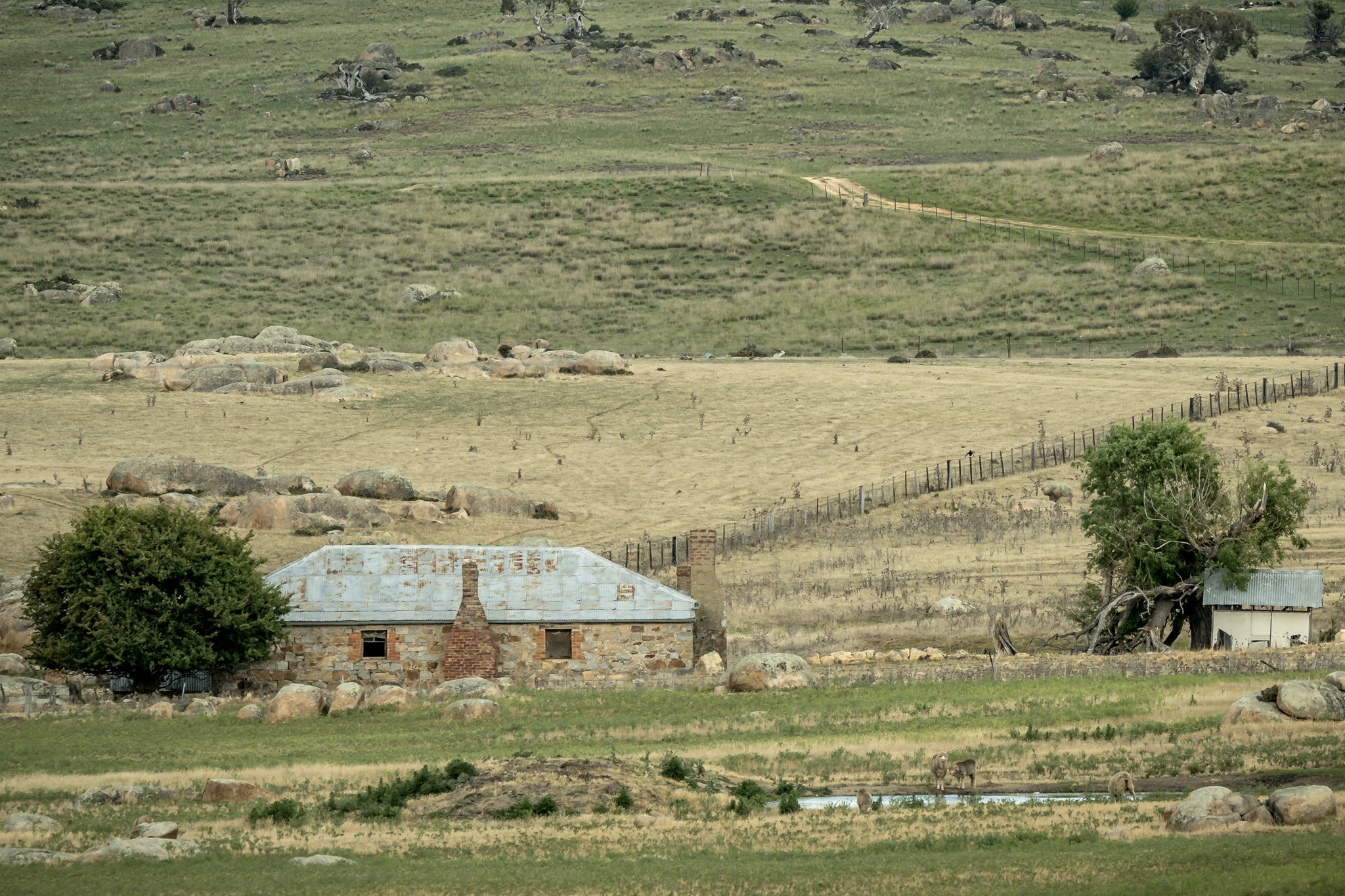 Dalgety Stone Shearers Quarters at A Place to Call Home, a beautiful old stone shearers residence set off in the distance.