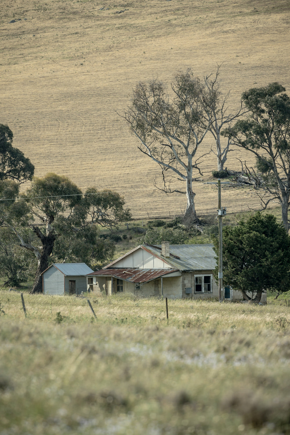 Dalgety Valley at A Place to Call Home, a more modern-looking farm ruin set amongst the rural Dalgety landscape.