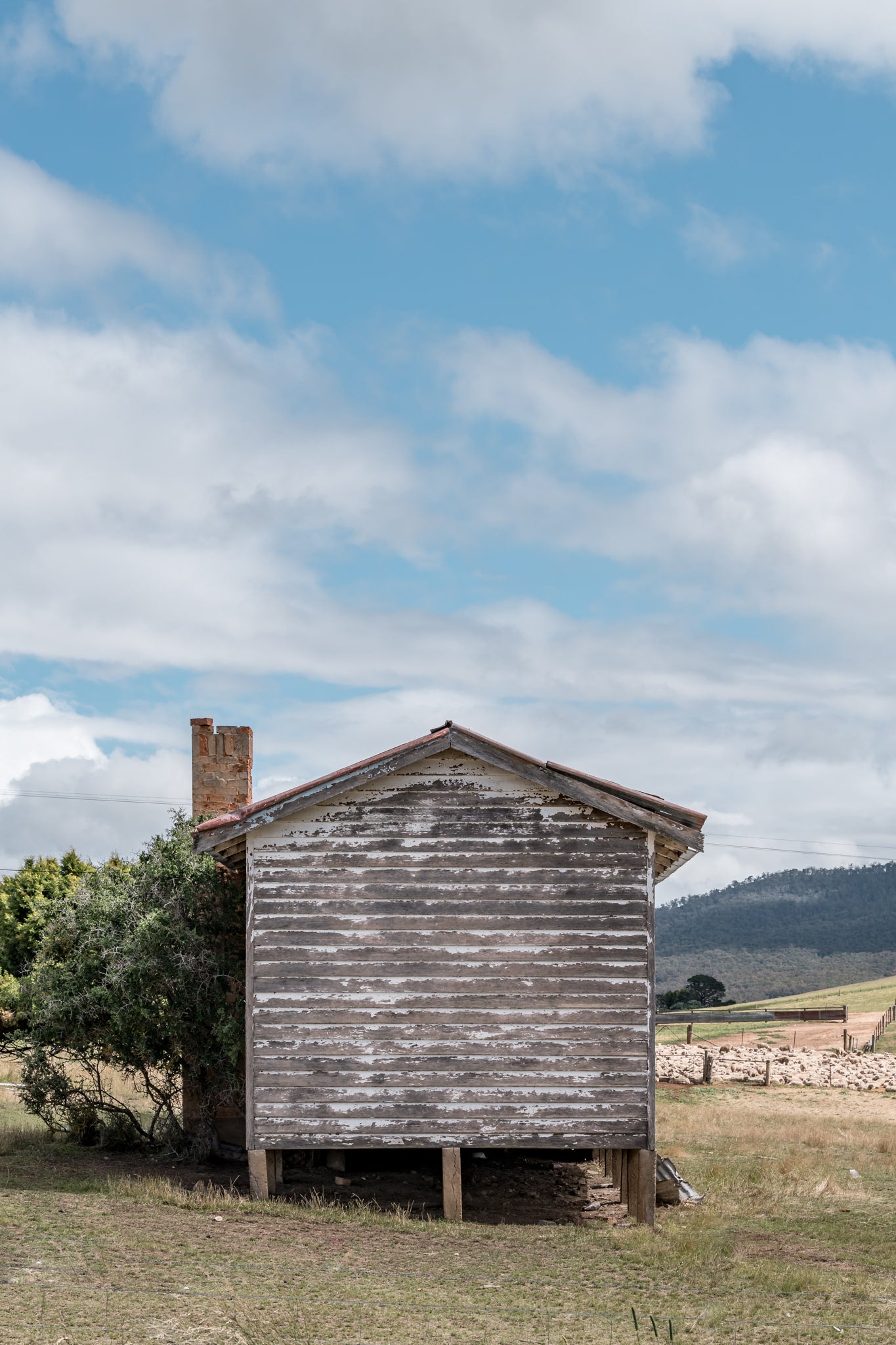 Delegate Shearers Rear at A Place to Call Home, a weatherboard cottage sits raised on timber stumps in dry pastoral land.