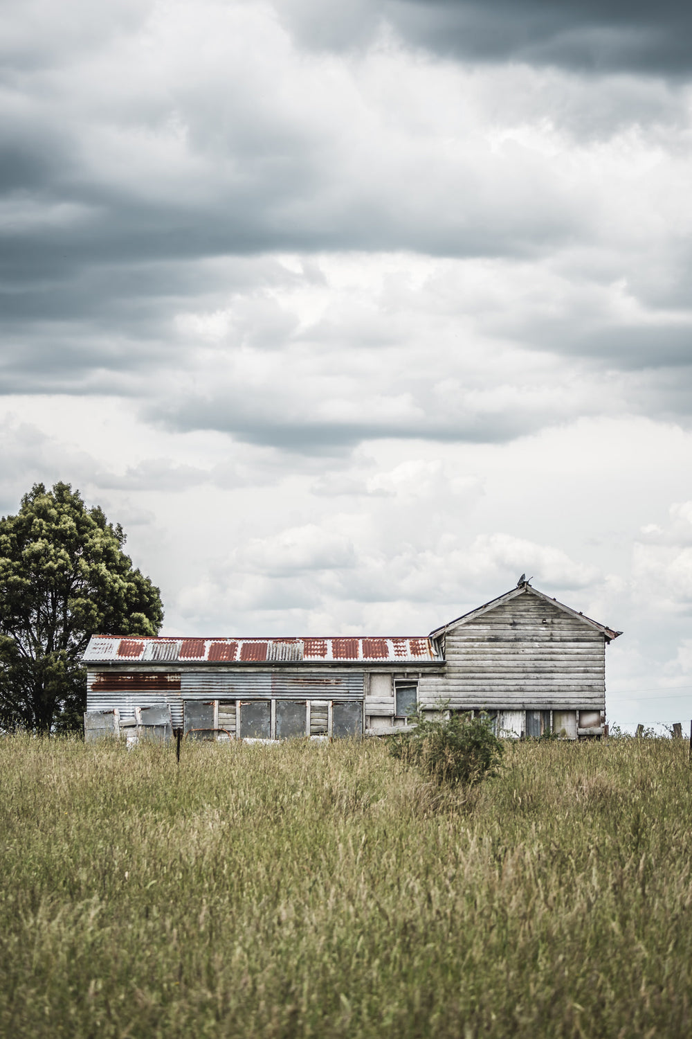 Farm Shed at A Place to Call Home, shot somewhere near Mount Darragh.