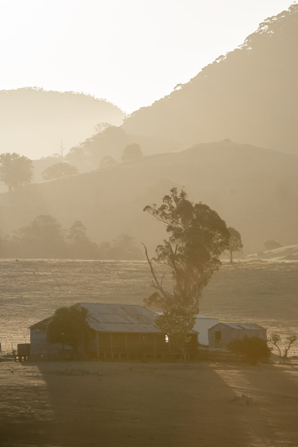 Farmstead at A Place to Call Home, a corrugated iron homestead and outbuildings sit low on bare ground, flanked by a single.