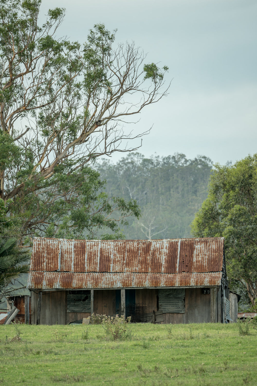 Hunter Hilltop at A Place to Call Home, a low timber shed sits in open green pasture beneath an overcast sky.