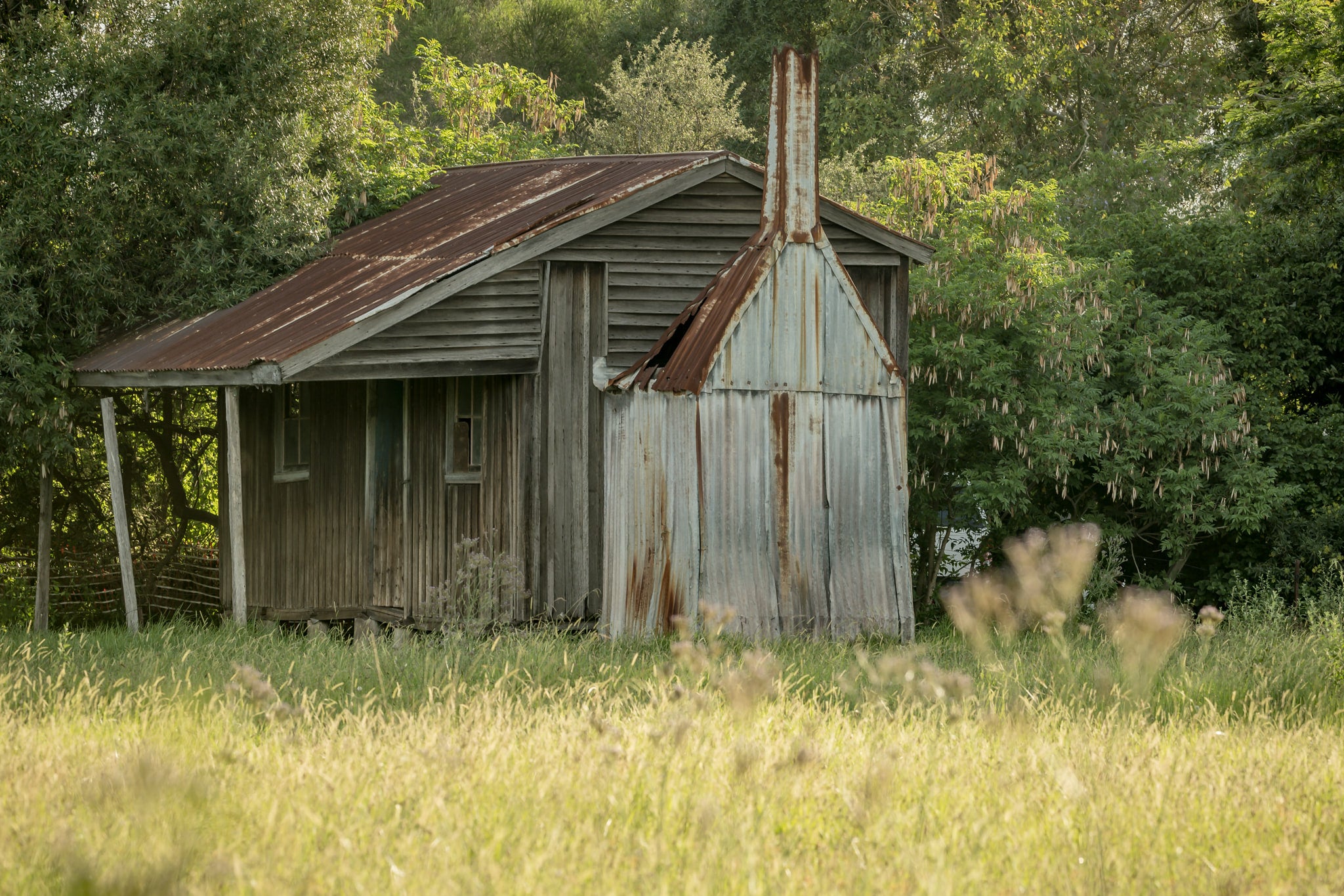 Hunter Hut at A Place to Call Home, a small timber and corrugated iron hut sits at the edge of a grass paddock in late.