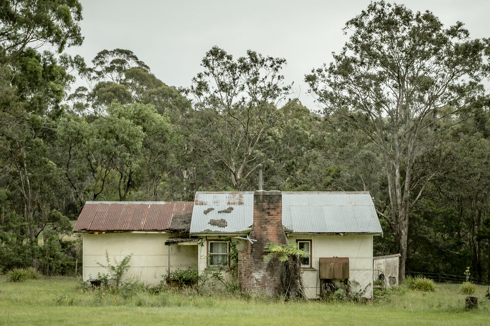 Lochview Cottage at A Place to Call Home, a small weatherboard cottage sits low in a flat green clearing, backed by dense.