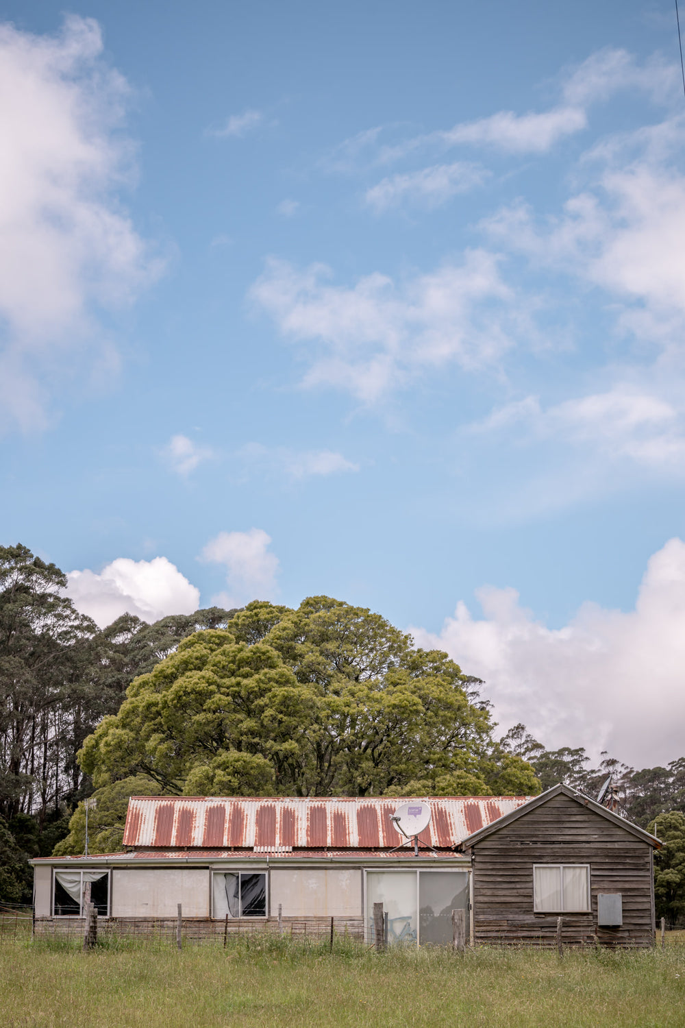 Myrtle Mountain Shack at A Place to Call Home, a weatherboard shack and a smaller timber outbuilding sit low in thick green.